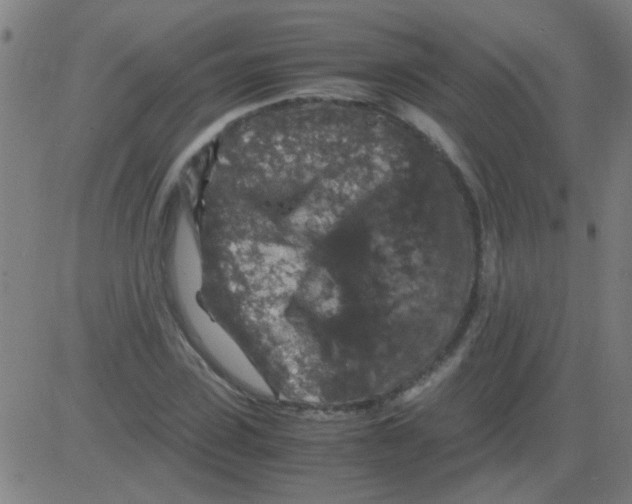 X0000081470923200702092336