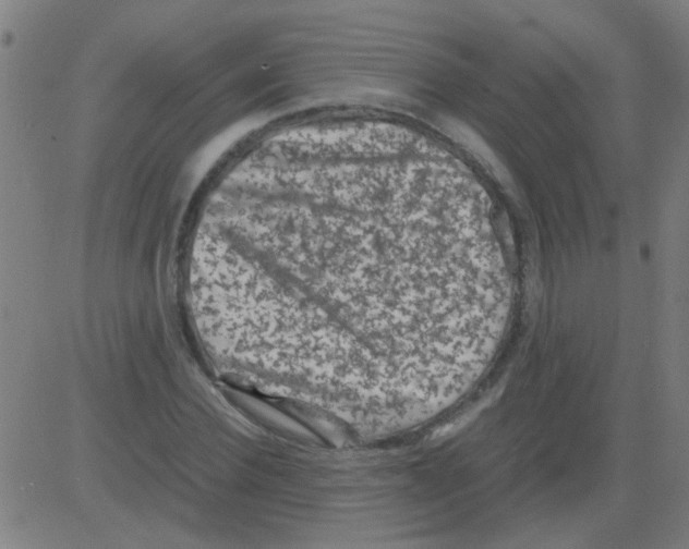 X0000081470924200702092336