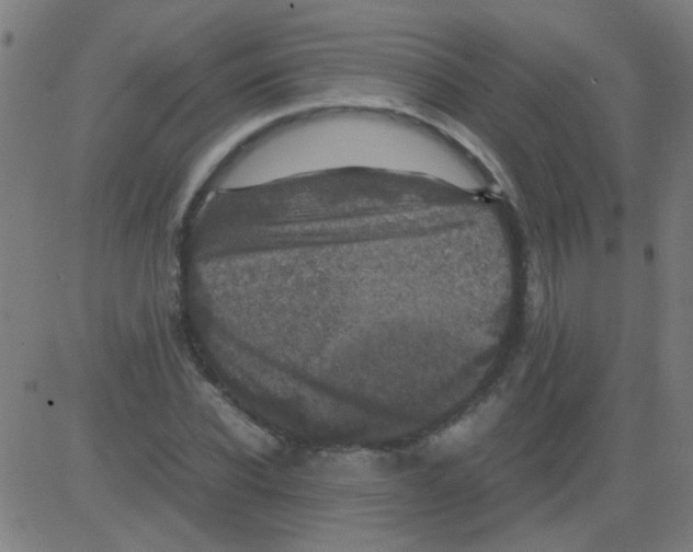 X0000081470926200702092336