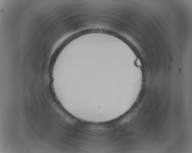 X0000081470927200702092336