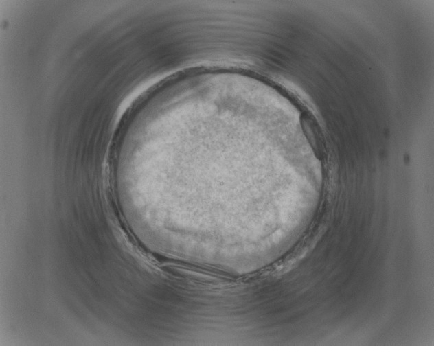 X0000081470928200702092336