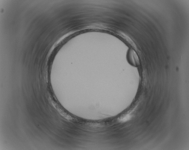 X0000081470931200702092336