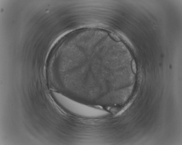 X0000081470932200702092336