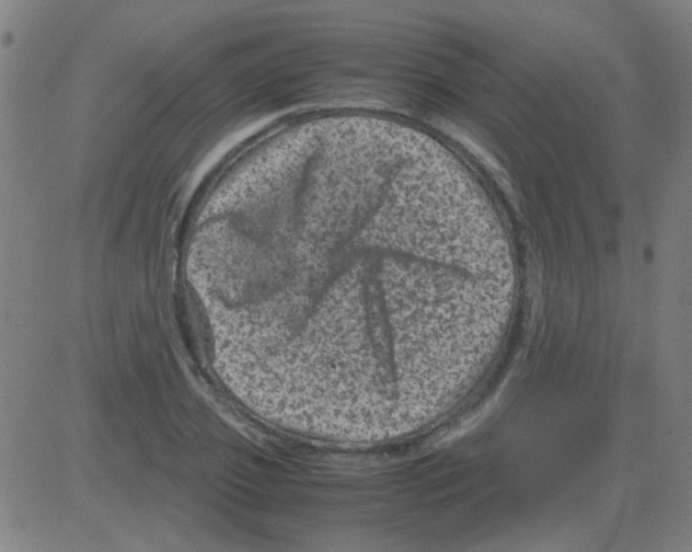 X0000081470933200702092336