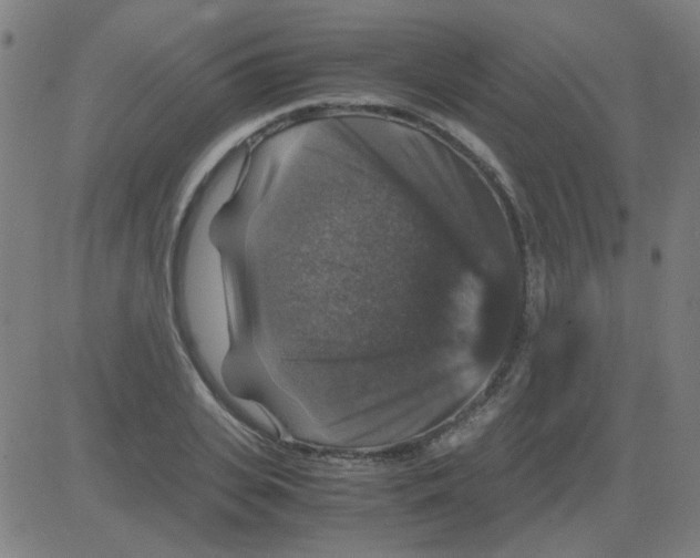 X0000081470935200702092336