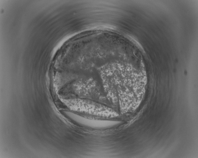 X0000081470936200702092336