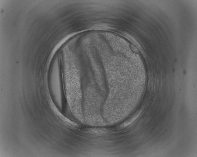 X0000081470939200702092336