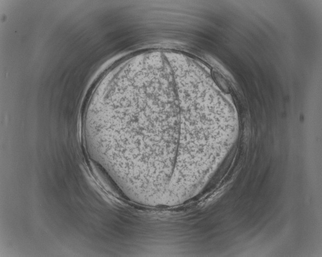 X0000081470940200702092336