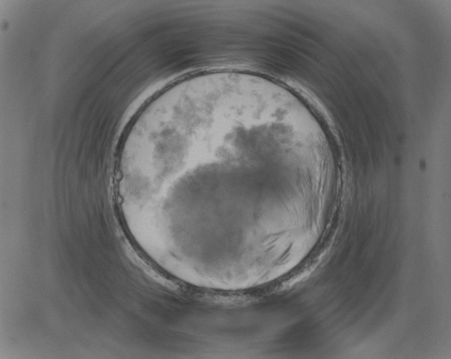 X0000081470941200702092336