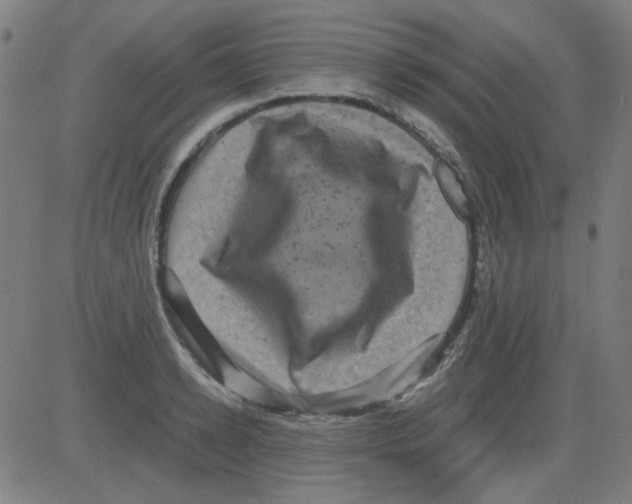 X0000081470942200702092336