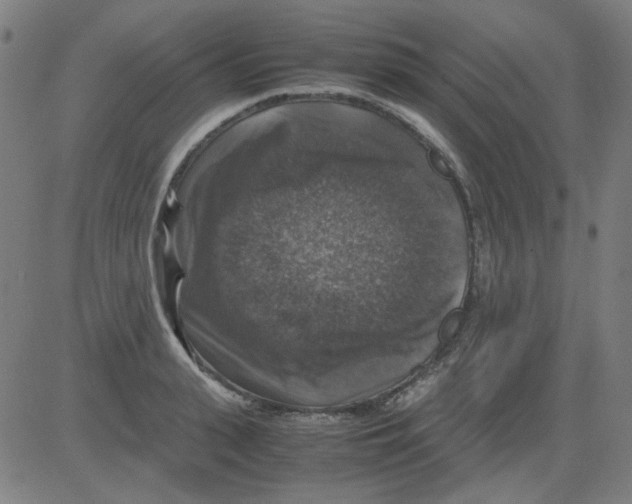 X0000081470943200702092336