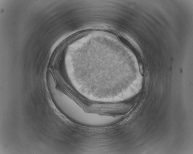 X0000081470944200702092336