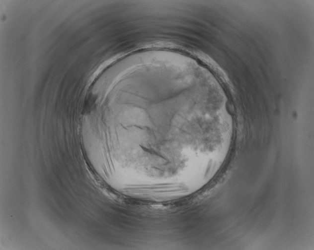 X0000081470945200702092336