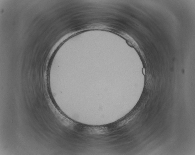 X0000081470947200702092336