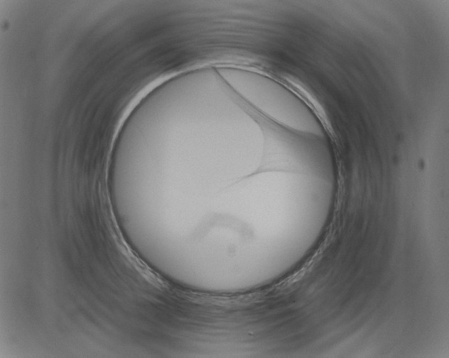 X0000081470948200702092336