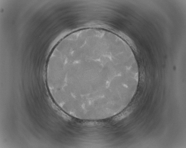 X0000081470950200702092336