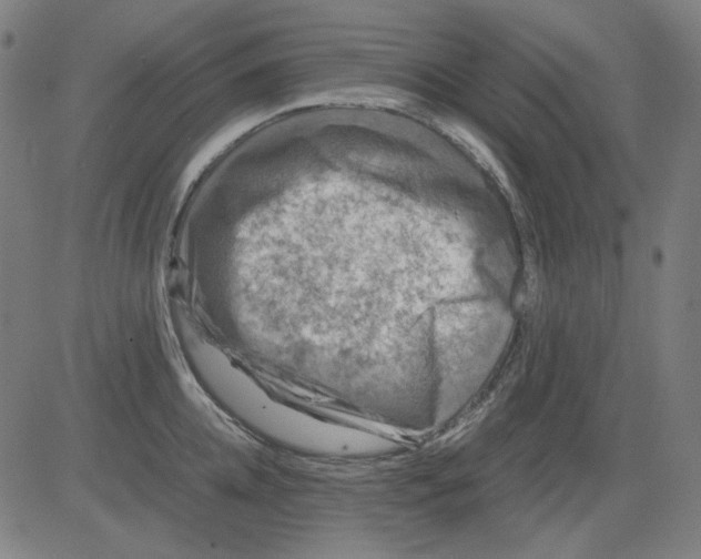 X0000081470952200702092336