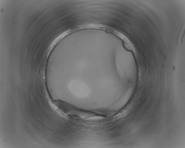 X0000081470954200702092336