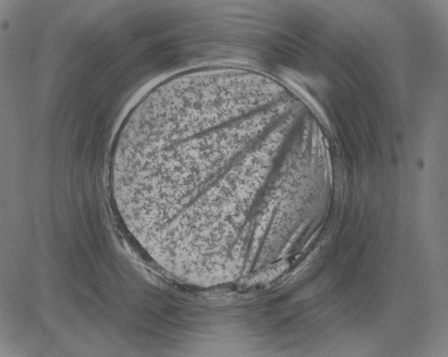 X0000081470956200702092336