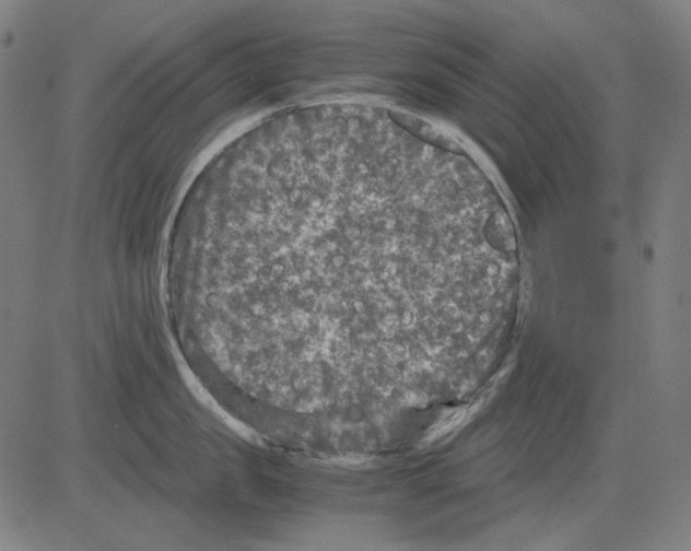 X0000081470957200702092336