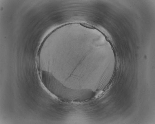 X0000081470958200702092336