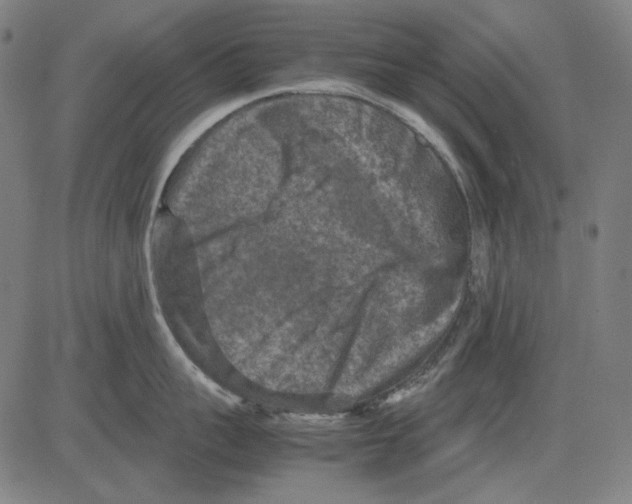 X0000081470959200702092337