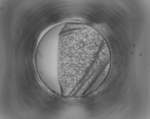 X0000081470960200702092337