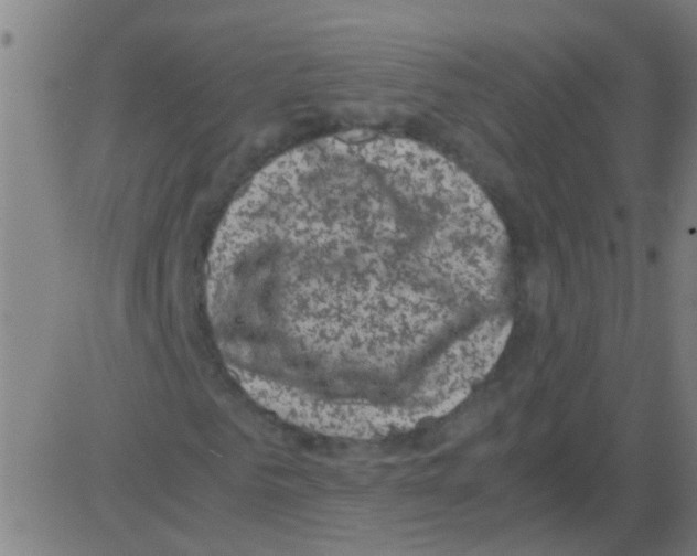 X0000081470961200702092336