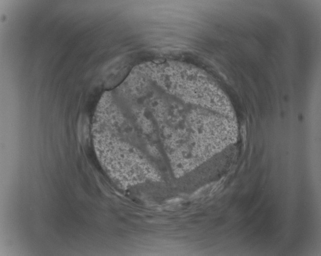 X0000081470963200702092336