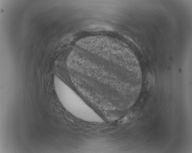 X0000081470965200702092336