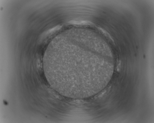 X0000081470966200702092336