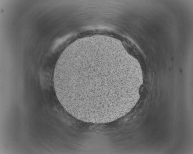 X0000081470967200702092336