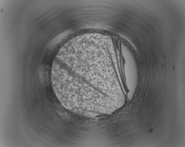 X0000081470968200702092336