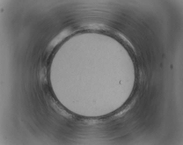 X0000081470970200702092336