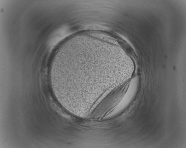 X0000081470971200702092336