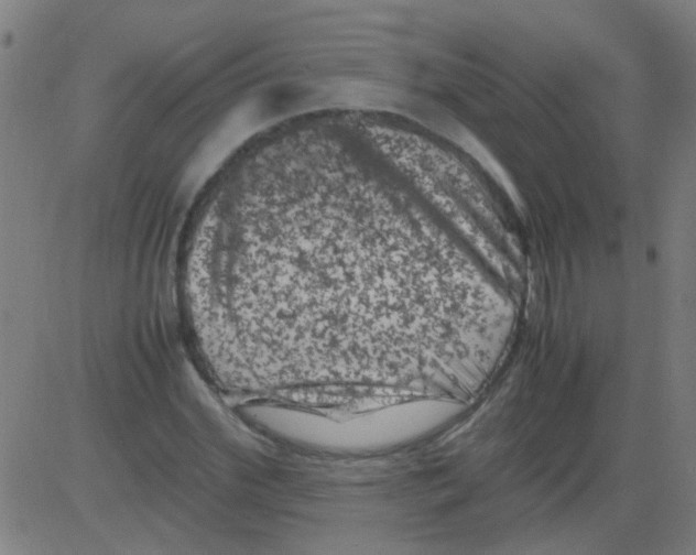 X0000081470972200702092336