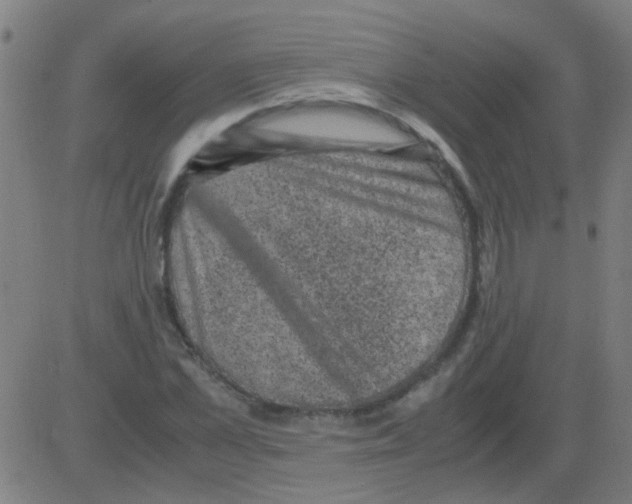 X0000081470973200702092336