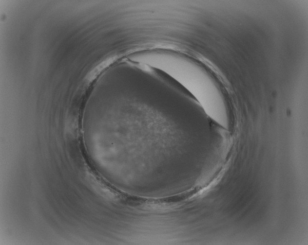 X0000081470977200702092335