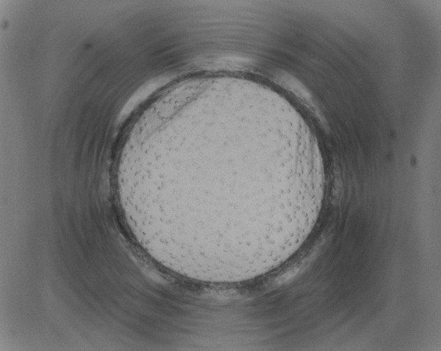 X0000081470978200702092335