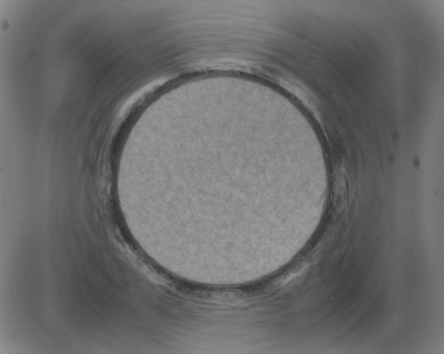 X0000081470979200702092335