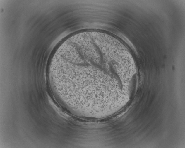 X0000081470980200702092335