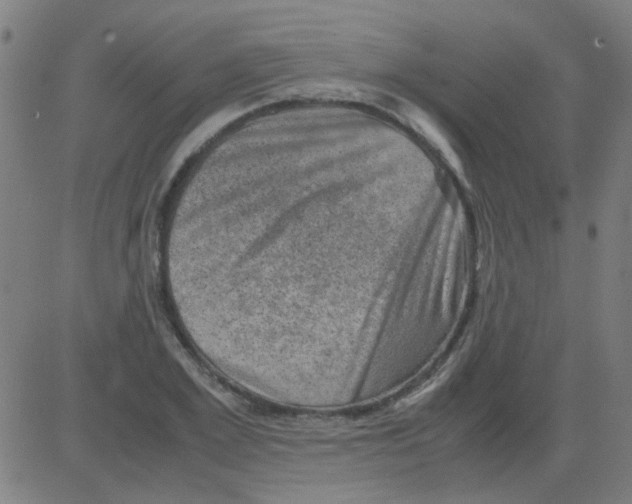 X0000081470981200702092335