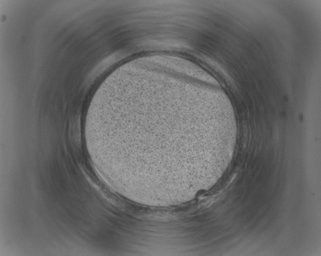 X0000081470982200702092335