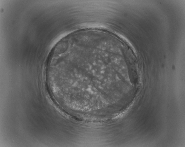 X0000081470983200702092335