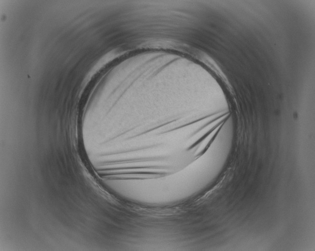 X0000081470984200702092335