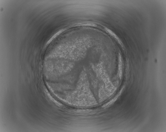 X0000081470985200702092335