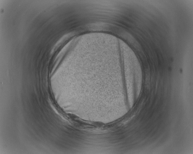 X0000081470986200702092335