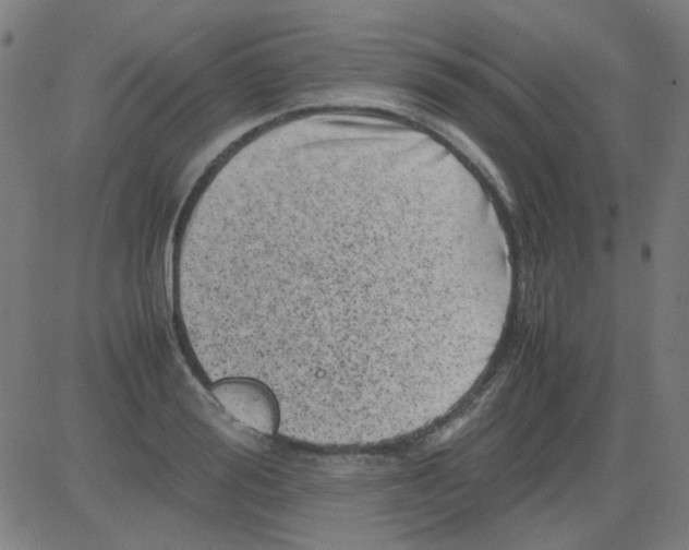 X0000081470988200702092335