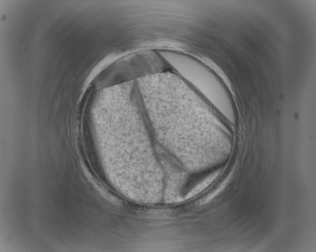 X0000081470989200702092335