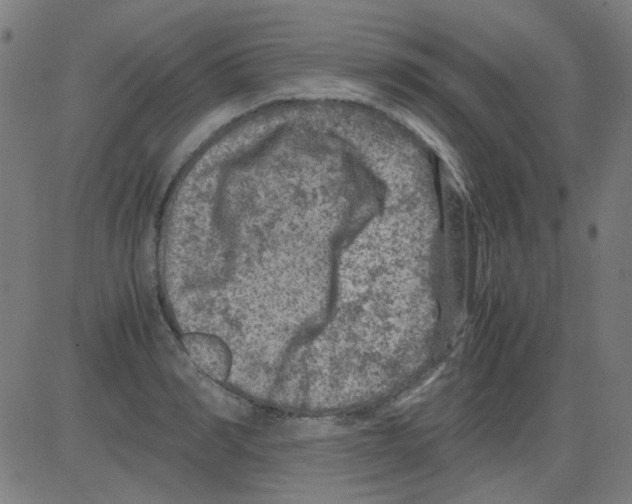 X0000081470990200702092335